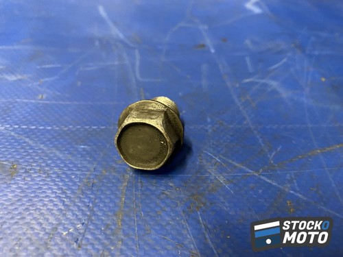 Viti scarico yamaha fz6 600 - viti, di